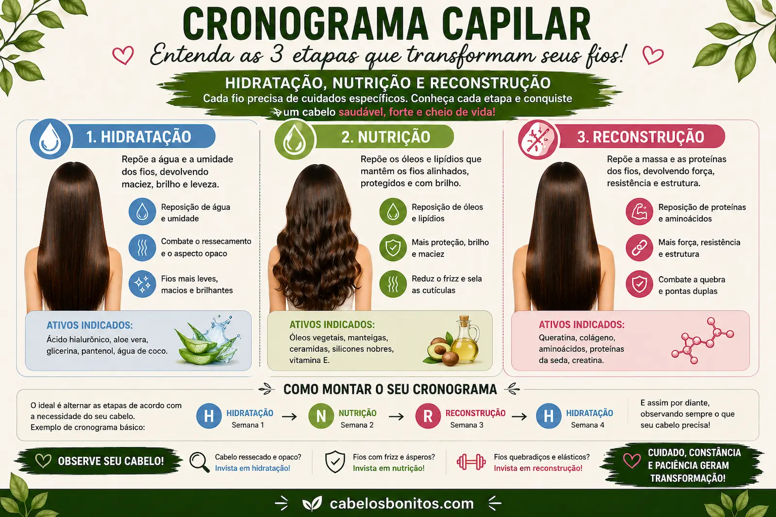 Infográfico explicando hidratação, nutrição e reconstrução no cronograma capilar