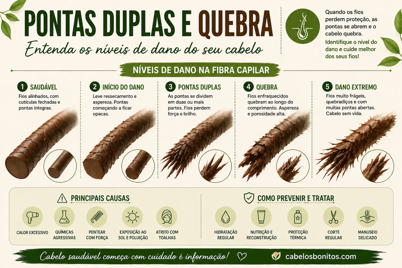 Pontas duplas e quebra do cabelo ilustradas com diferentes níveis de dano na fibra capilar