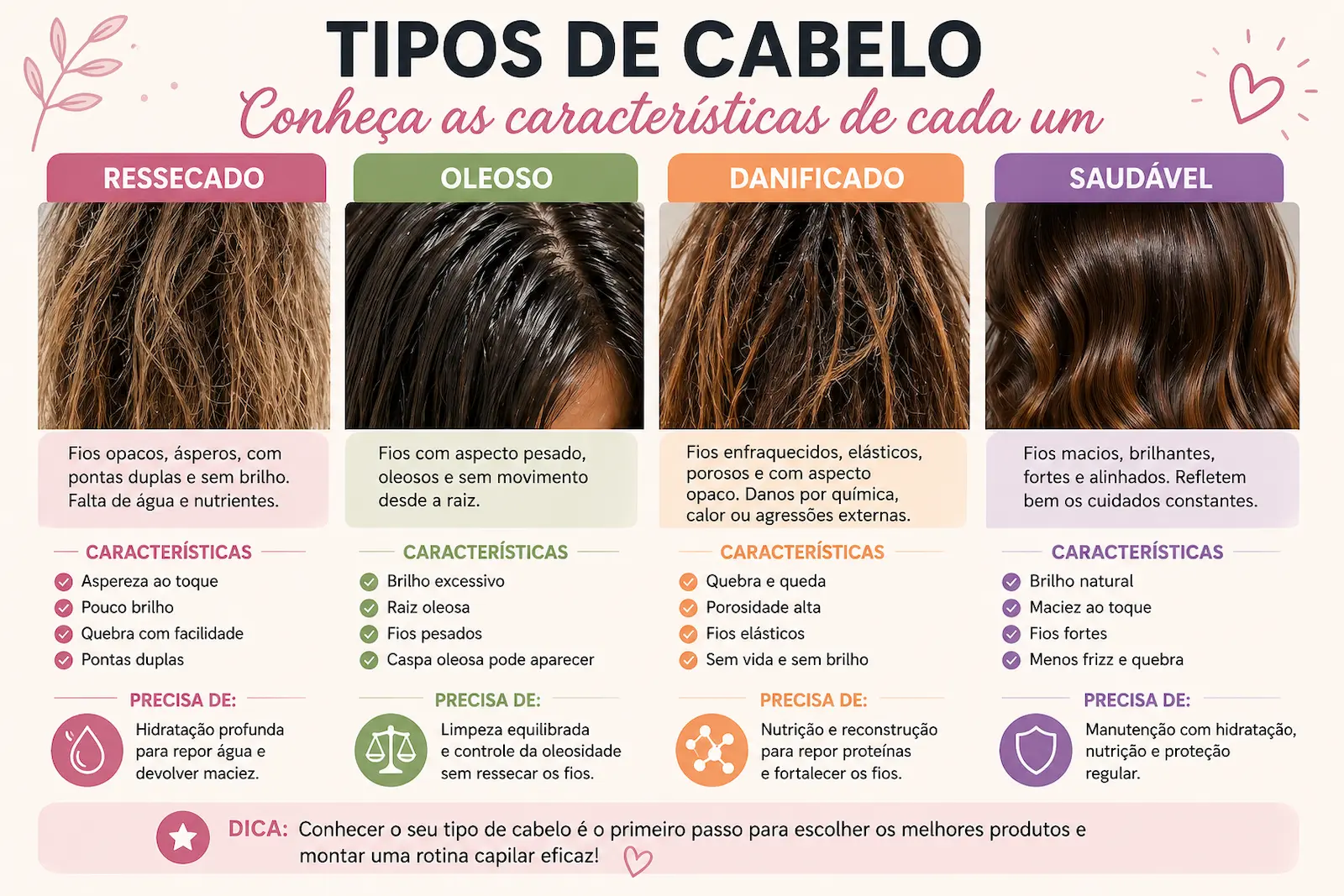 Tipos de cabelo ressecado oleoso danificado e saudável com características visuais